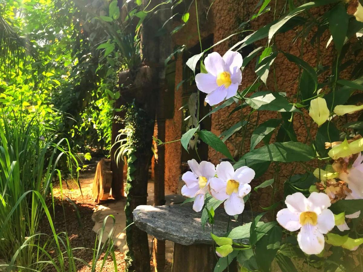 Earth House Sri Lanka Villa Neboda Luaran gambar
