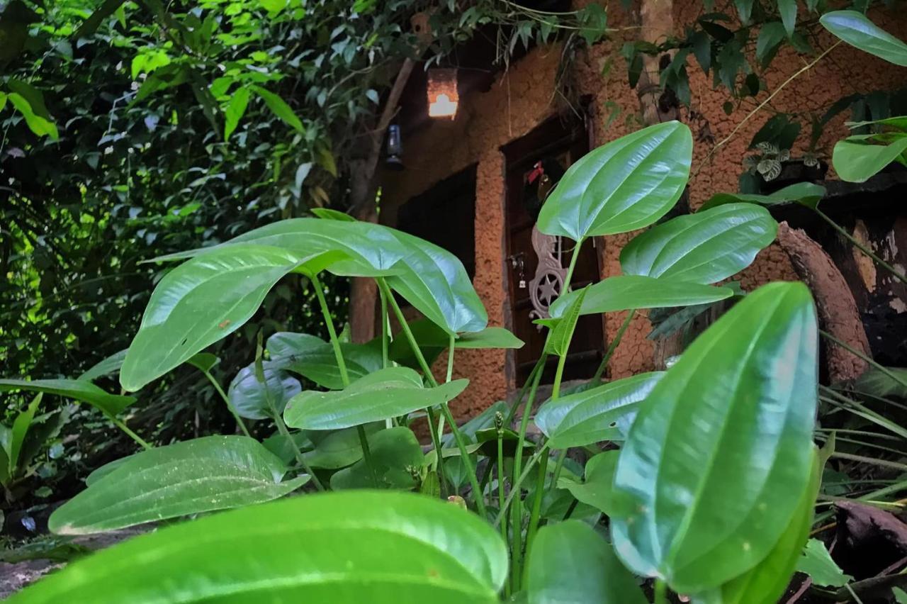 Earth House Sri Lanka Villa Neboda Luaran gambar
