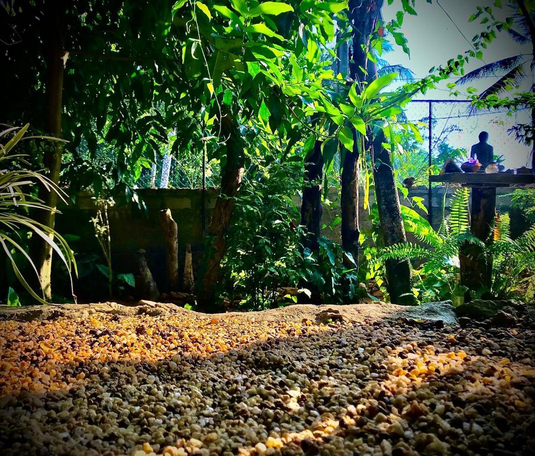 Earth House Sri Lanka Villa Neboda Luaran gambar
