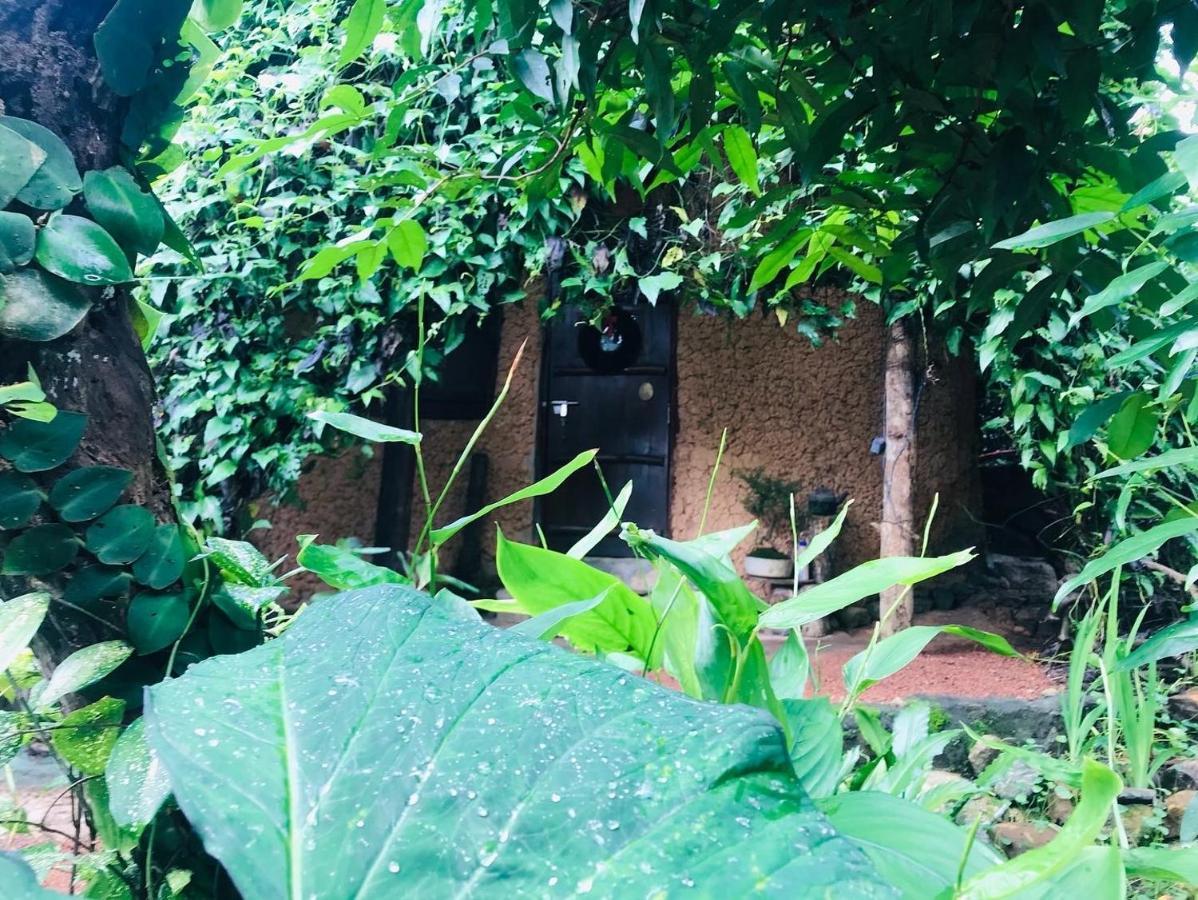 Earth House Sri Lanka Villa Neboda Luaran gambar