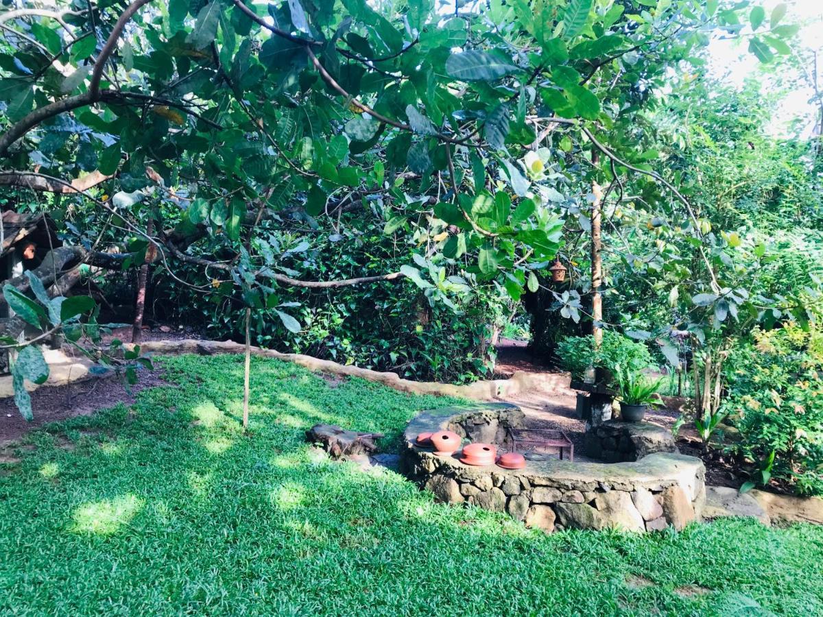 Earth House Sri Lanka Villa Neboda Luaran gambar