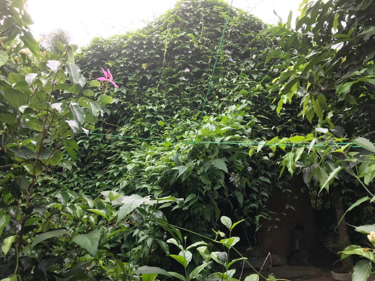 Earth House Sri Lanka Villa Neboda Luaran gambar